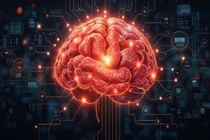 Building a Second Brain with Notion